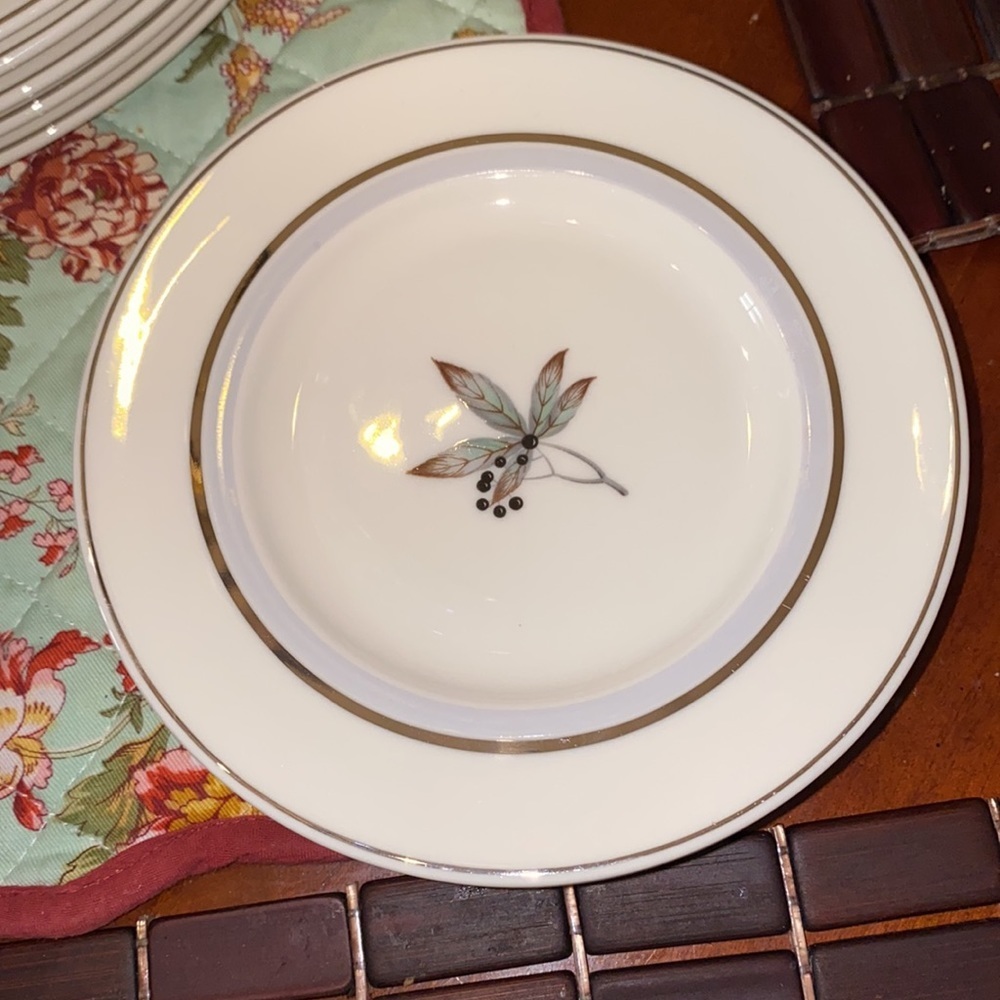 Castleton Fine China Glenwood Service for Four - 40 pc Set - Picture 4 of 10